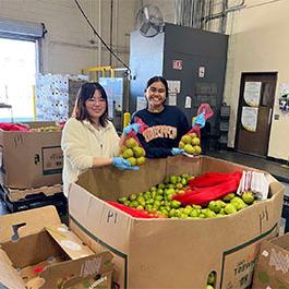 参加食品捐赠活动的学生们正在包装苹果